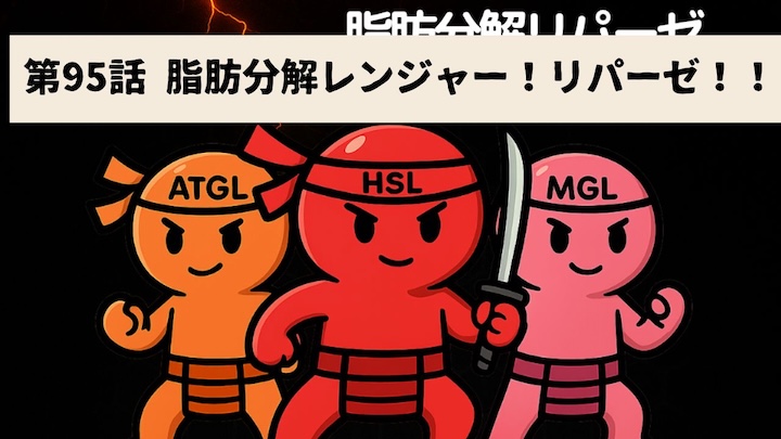 \第95話 脂肪分解レンジャー!リパーゼ!!/